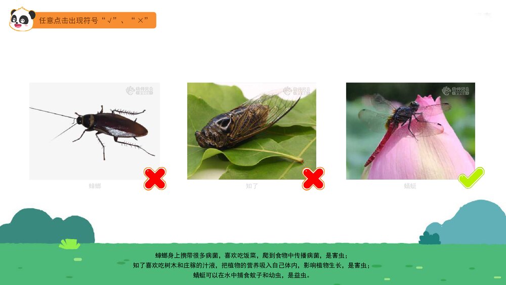 《益虫和害虫》幼儿园中班语言科学教育主题PPT课件(含word教案)8