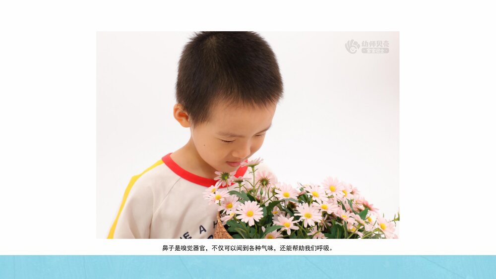 《爱护我们的五官》幼儿园小中大班健康教育主题PPT课件(含word教案)6