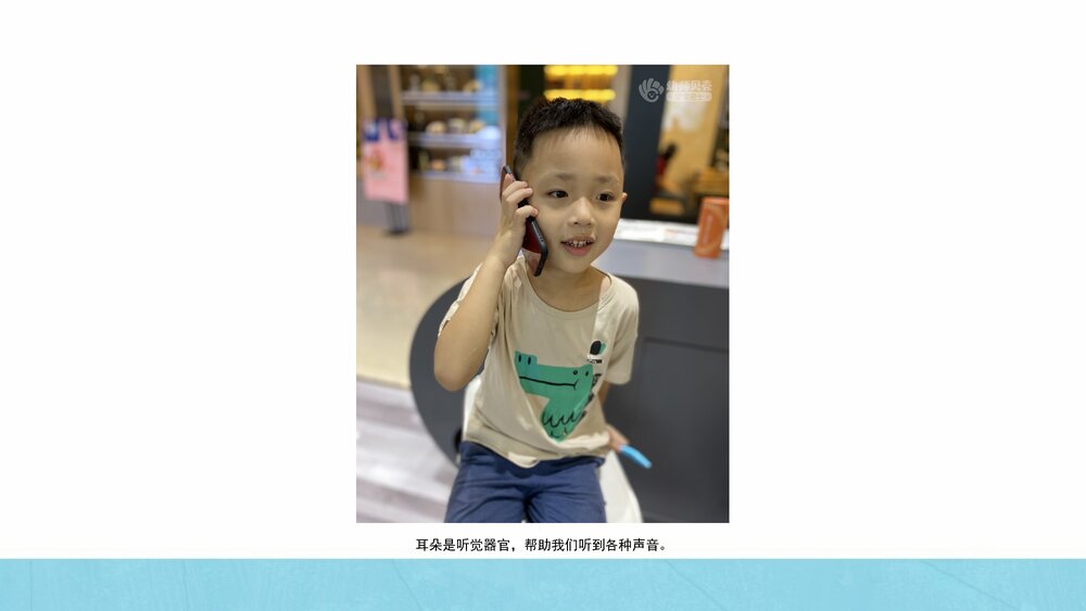 《爱护我们的五官》幼儿园小中大班健康教育主题PPT课件(含word教案)8