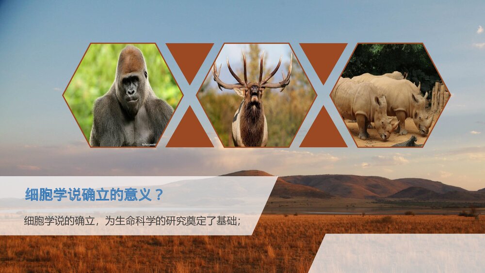 人教版高中历史必修三·第四单元·第十二课《破解生命起源谜》教育教学PPT课件7