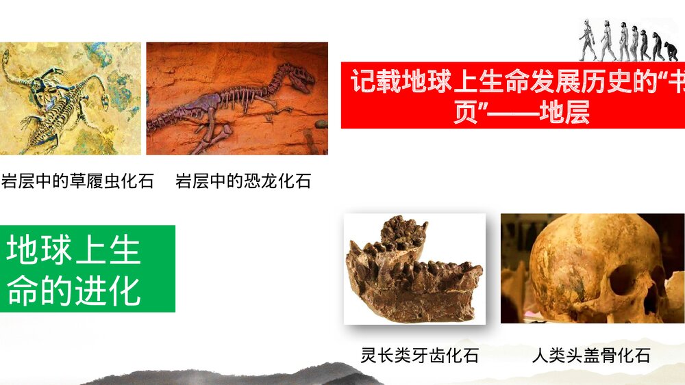 七年级历史上册第一课《中国早期人类的代表北·北京人》教育教学PPT课件下载3