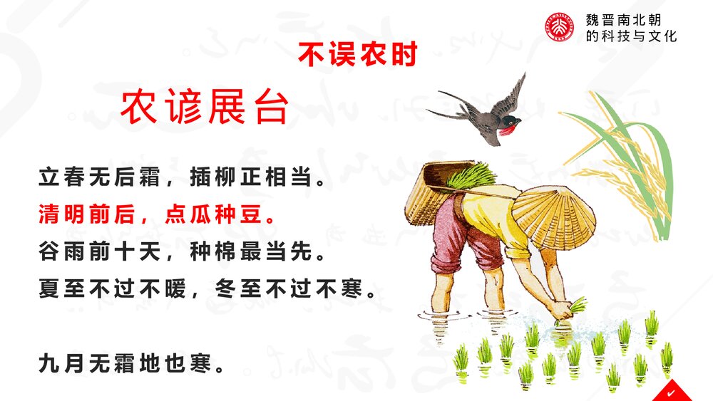 《魏晋南北朝的科技与文化》初中历史七年级教育教学PPT课件4