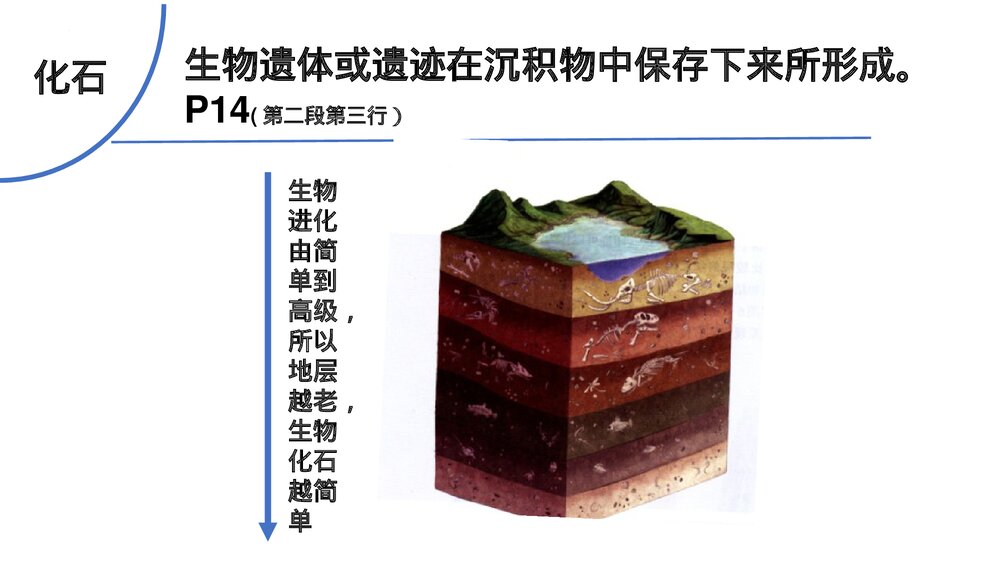 第一章·第三节《地球的历史课件》PPT课件（共22张）7