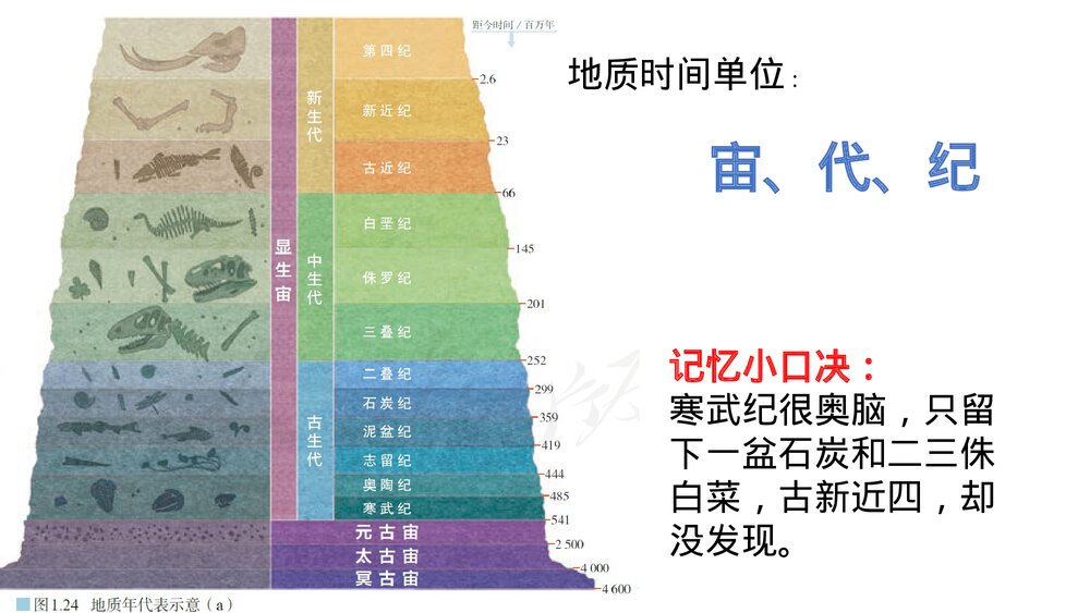 第一章·第三节《地球的历史课件》PPT课件（共22张）10