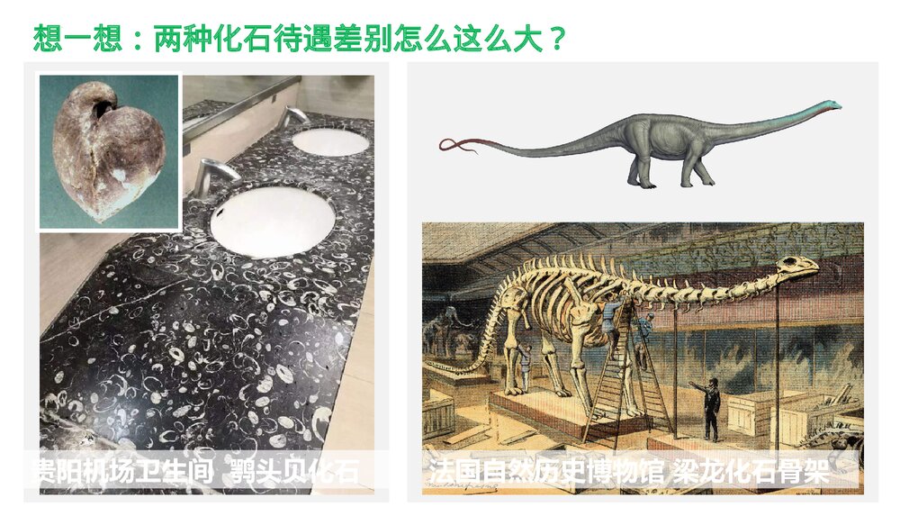 《地球的历史》第一章·第三节教育教学PPT课件PPT课件（共26张）3