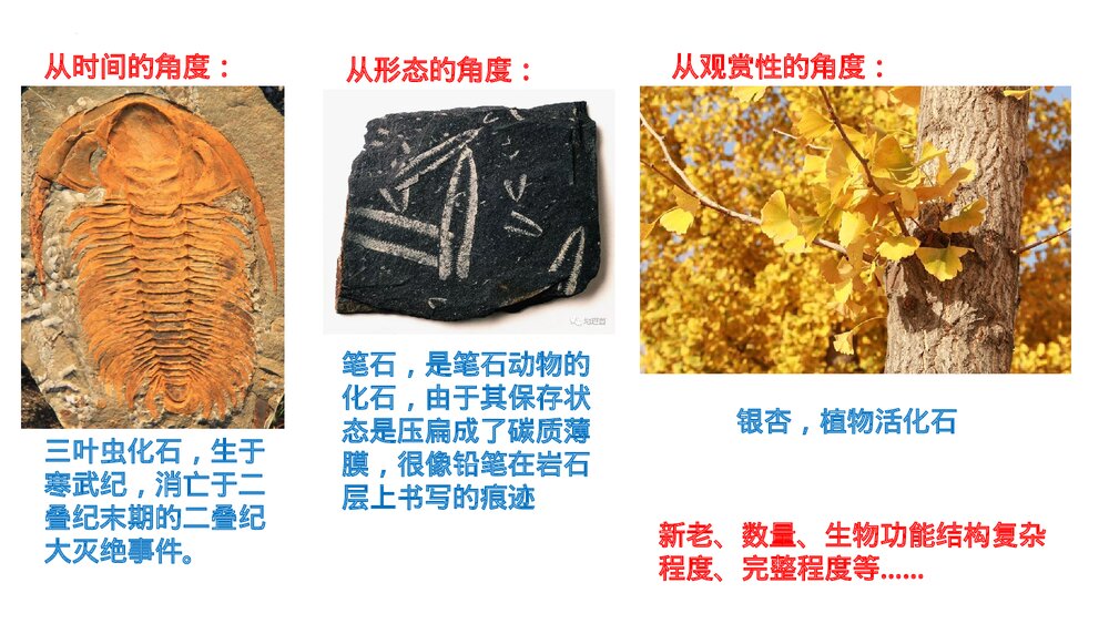 《地球的历史》第一章·第三节教育教学PPT课件PPT课件（共26张）8