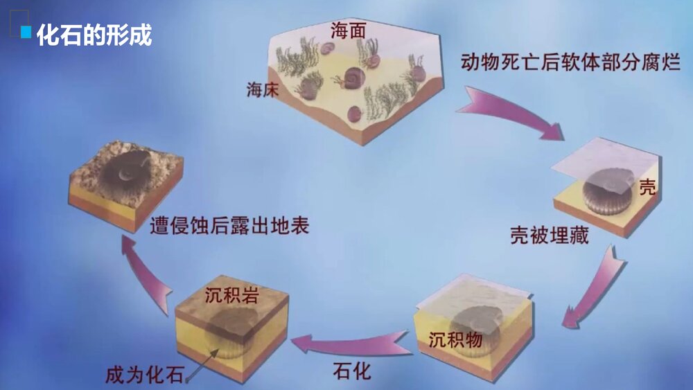 人教版地理第一册第一章第三节《地球的历史》教学PPT课件6