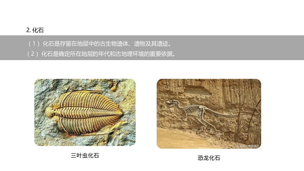 《地球的历史人教版·第一章·第三节教育教学PPT课件5