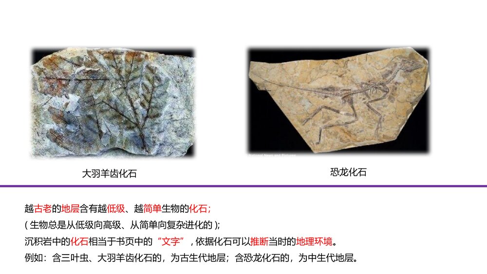 《地球的历史人教版·第一章·第三节教育教学PPT课件7