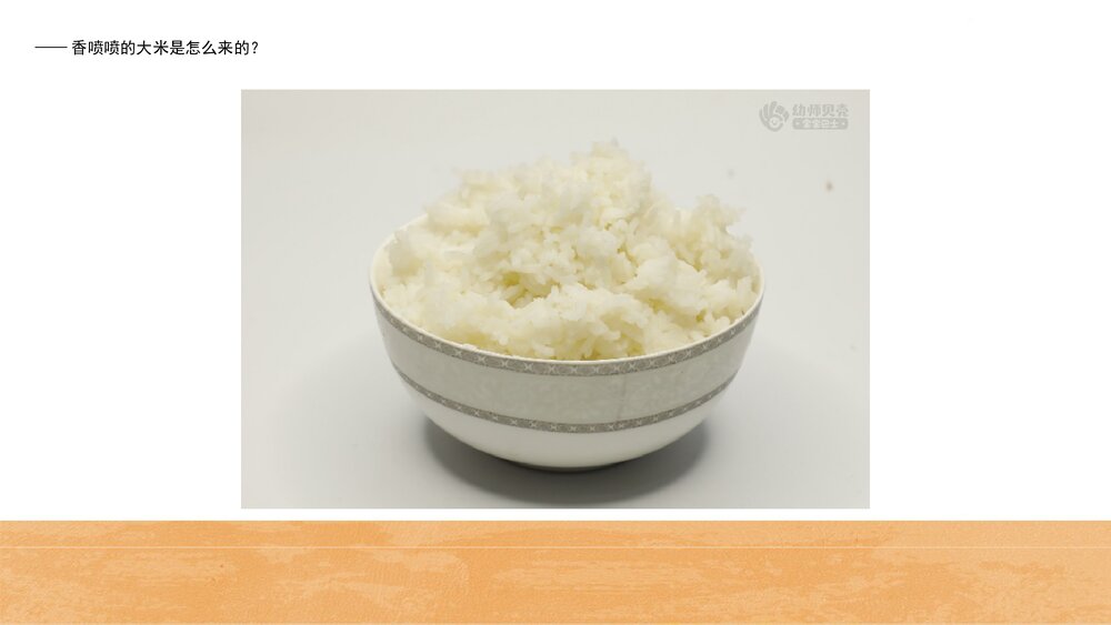 《珍惜粮食》幼儿园中班科学社会教育主题PPT课件(含word教案)3