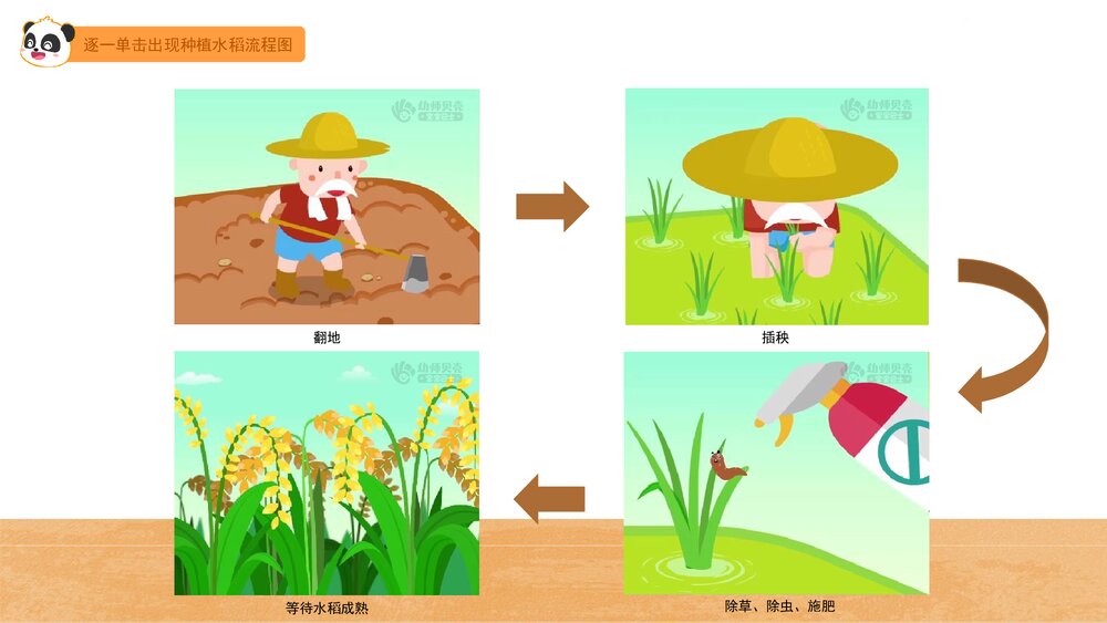 《珍惜粮食》幼儿园中班科学社会教育主题PPT课件(含word教案)7