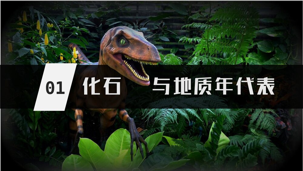 1.3地球的历史PPT课件（共27张）2