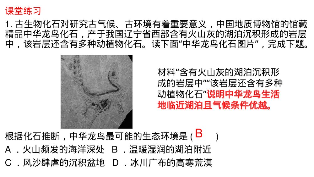 1.3地球的历史PPT课件（共27张）9