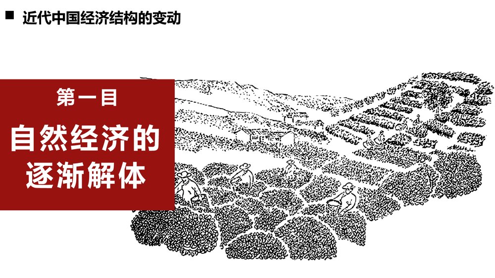 《自然经济的逐渐解体》初中历史教育教学PPT课件1