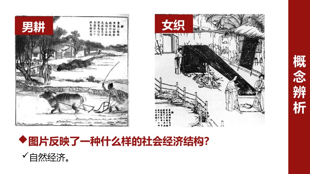 《自然经济的逐渐解体》初中历史教育教学PPT课件3