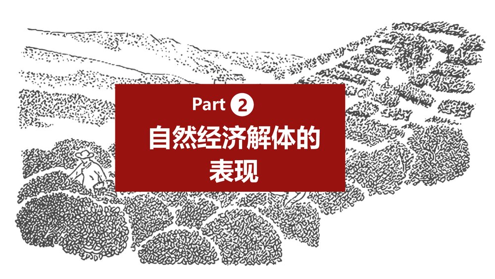《自然经济的逐渐解体》初中历史教育教学PPT课件8