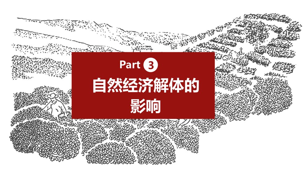 《自然经济的逐渐解体》初中历史教育教学PPT课件10