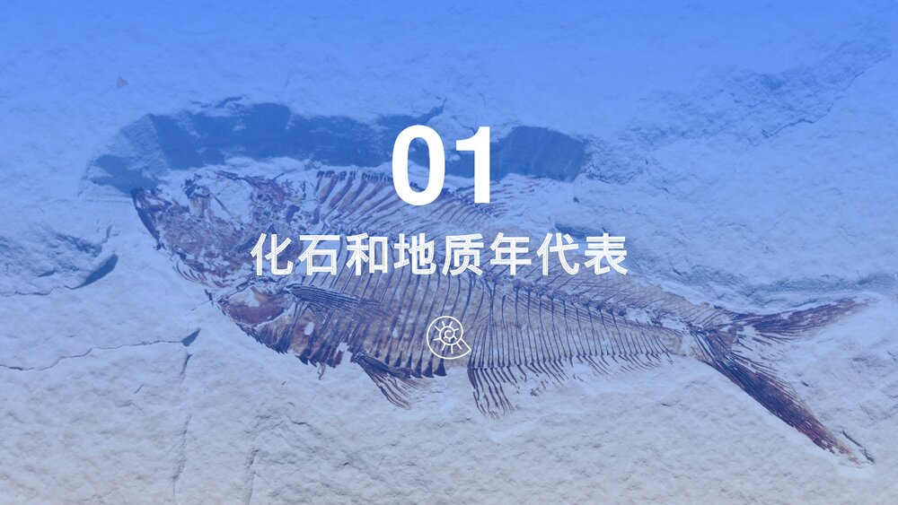 《地球的历史》教学PPT课件(共51张)4