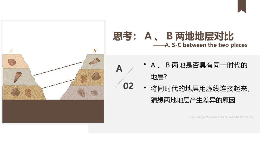 《地球的历史》教学PPT课件(共51张)10