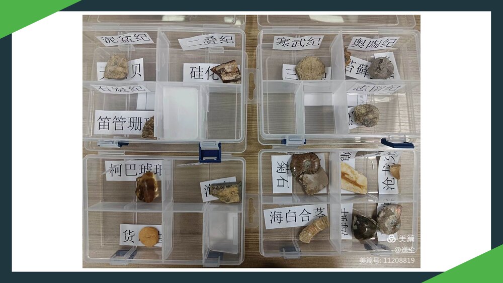 1.3地球的历史PPT课件（共45张）2