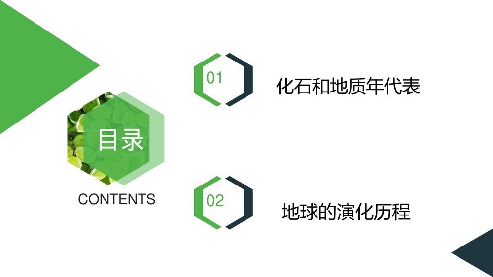 1.3地球的历史PPT课件（共45张）3
