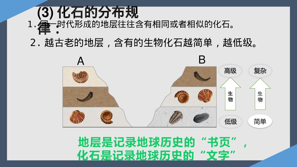 1.3地球的历史PPT课件（共45张）10
