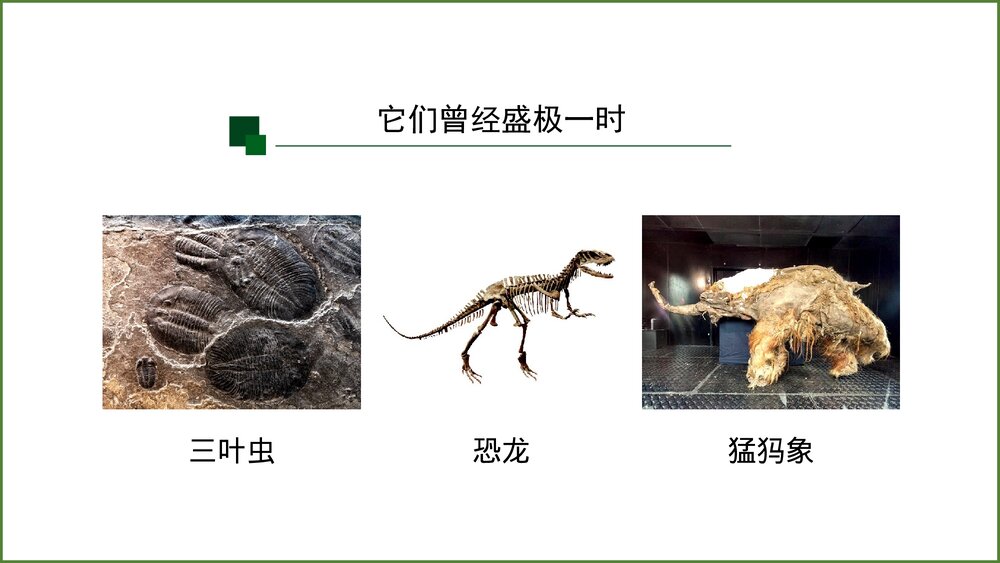 《地球的历史》第一课时教学PPT课件(共42张)3