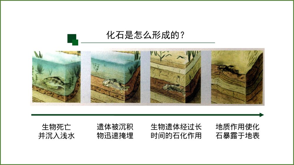 《地球的历史》第一课时教学PPT课件(共42张)4