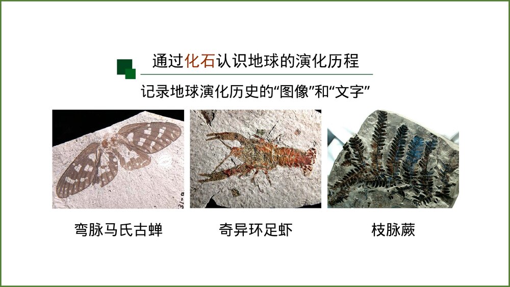 《地球的历史》第一课时教学PPT课件(共42张)7