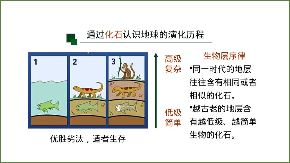 《地球的历史》第一课时教学PPT课件(共42张)9