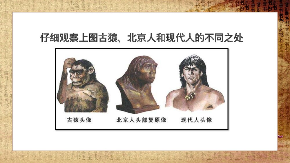 初中历史七年级《祖国境内的远古居民》教育教学PPT课件7