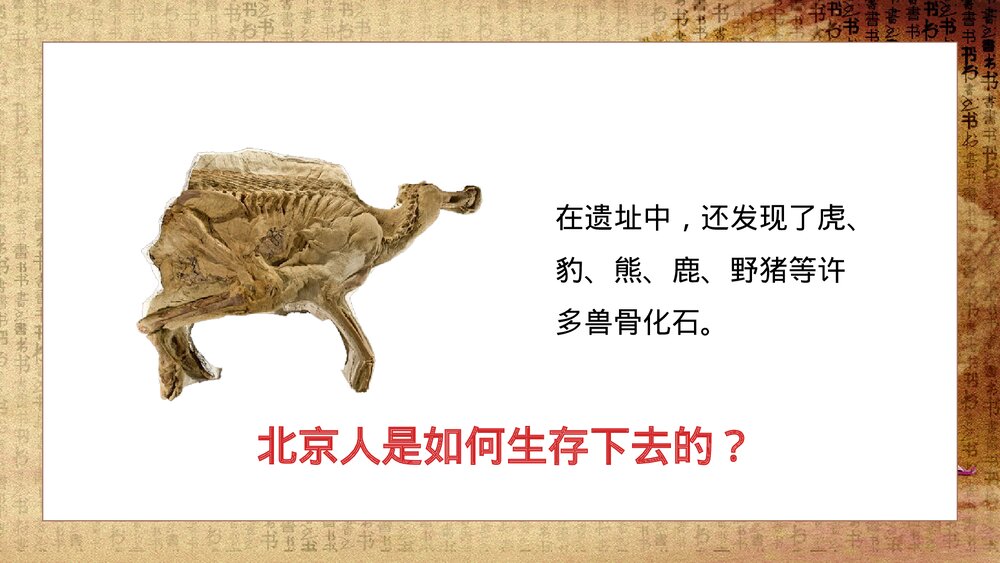 初中历史七年级《祖国境内的远古居民》教育教学PPT课件10