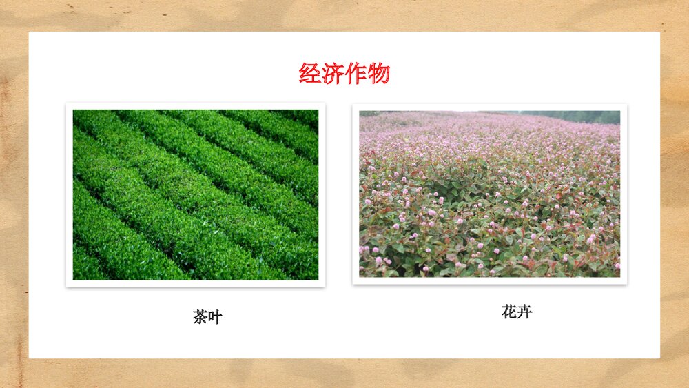 人教统编版·历史七年级下册第19课《清朝前期社会经济的发展》教学PPT课件4