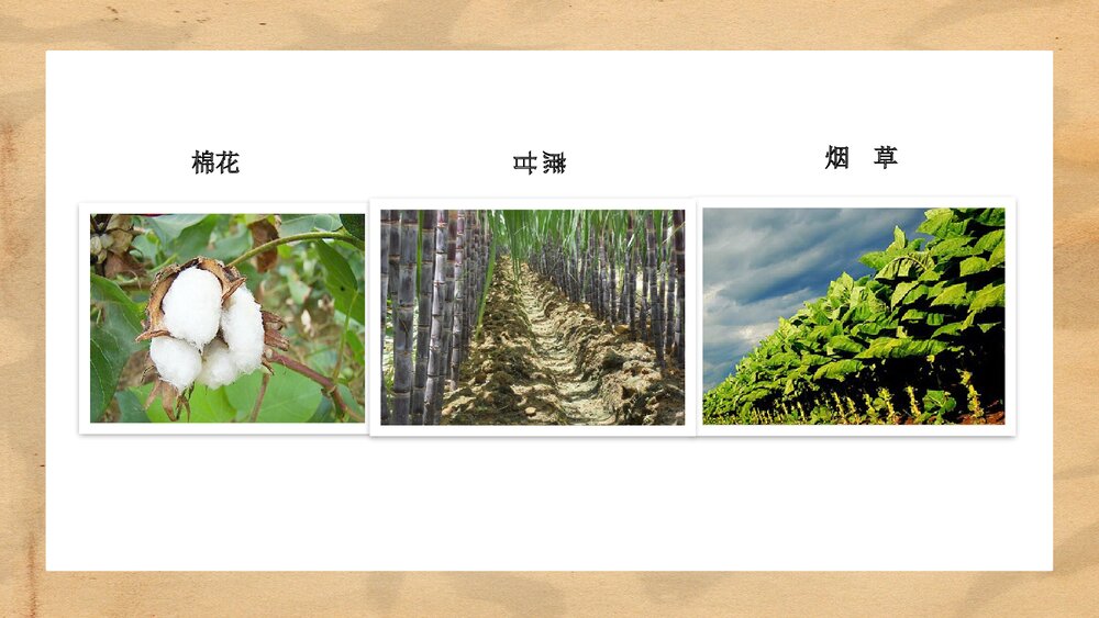 人教统编版·历史七年级下册第19课《清朝前期社会经济的发展》教学PPT课件5