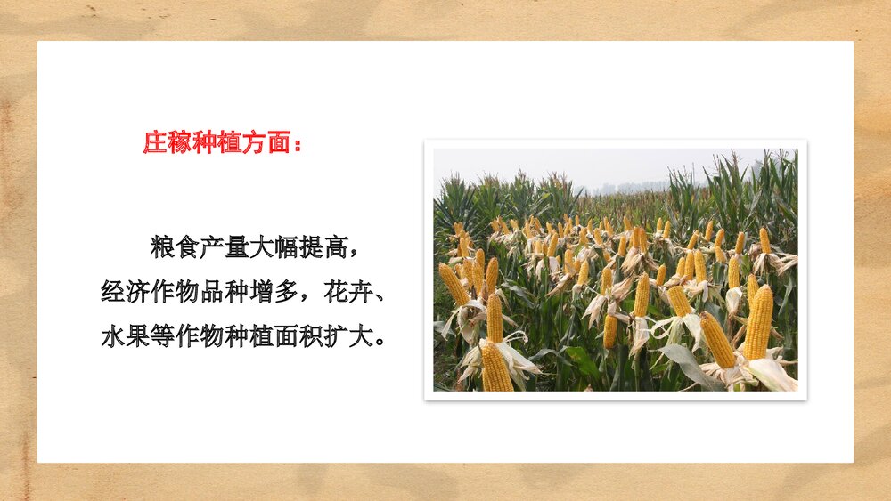 人教统编版·历史七年级下册第19课《清朝前期社会经济的发展》教学PPT课件7