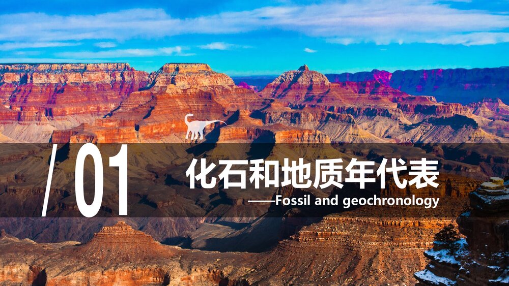 2019新课标人教版高中《地球的历史》教学PPT课件5