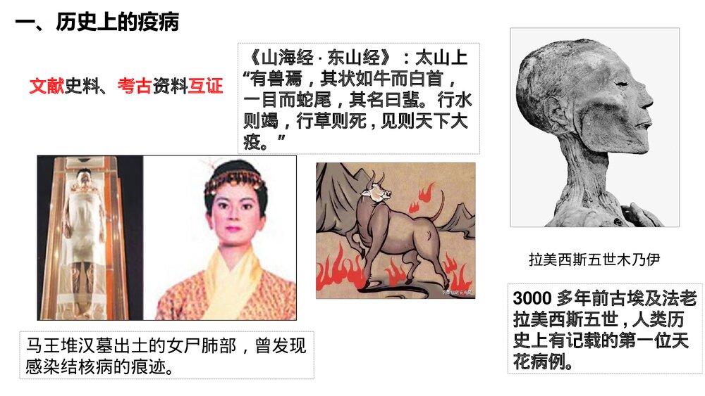 高二历史选择性必修二第14课《历史上的疫病与医学成就》教学PPT课件3