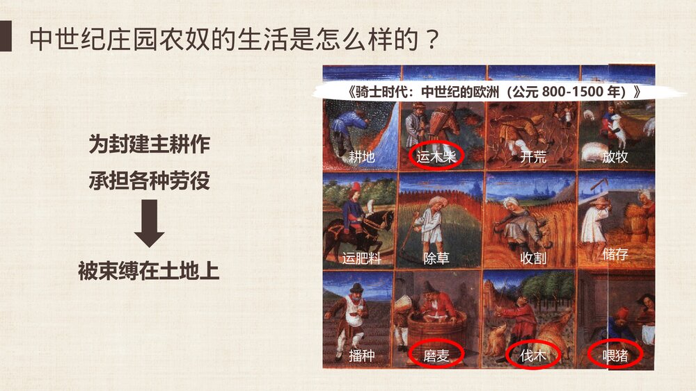 九年级历史上册第10课《中世纪城市和大学兴起》教学PPT课件9