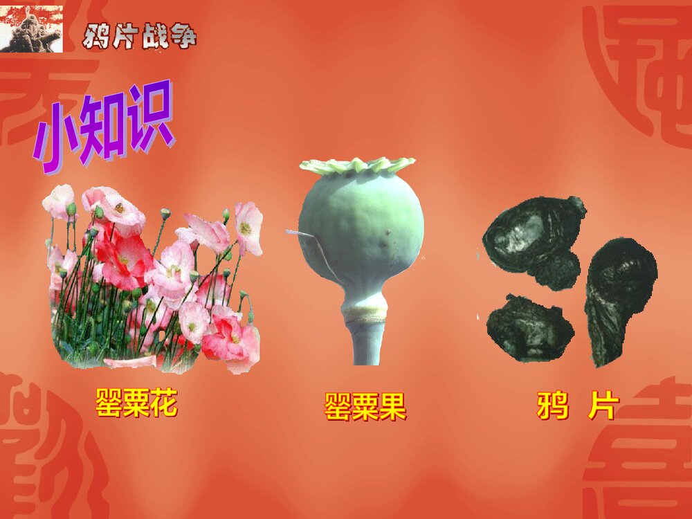 鲁教版六年级上册《屈辱的历史》教学PPT课件(37张)9