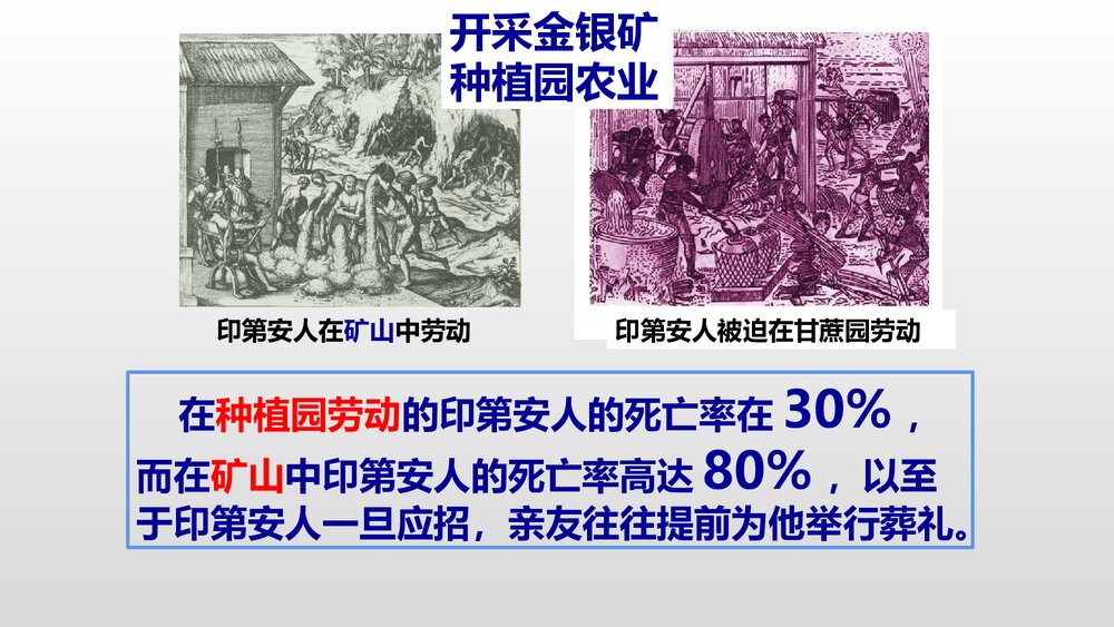 人教部编版·九年级历史上册《第16课早期殖民掠夺》教学PPT课件(共30张)9