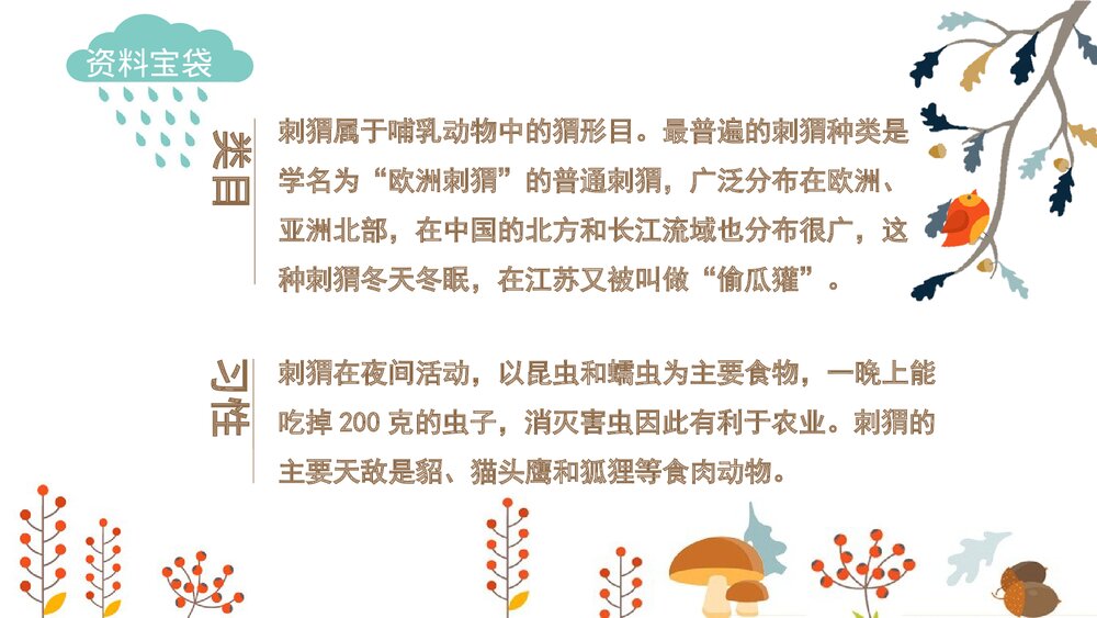 部编版·语文三年级上册《带刺的朋友》教育教学PPT课件5