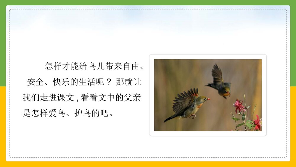 统编版·语文三年级上册《父亲树林和鸟》教育教学PPT课件4