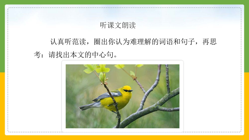 统编版·语文三年级上册《父亲树林和鸟》教育教学PPT课件6