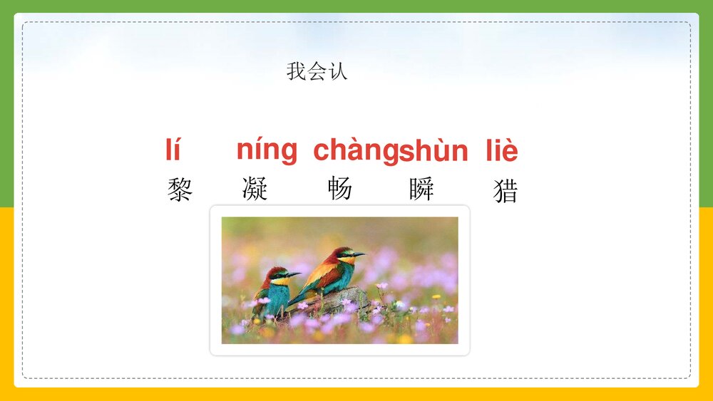 统编版·语文三年级上册《父亲树林和鸟》教育教学PPT课件7