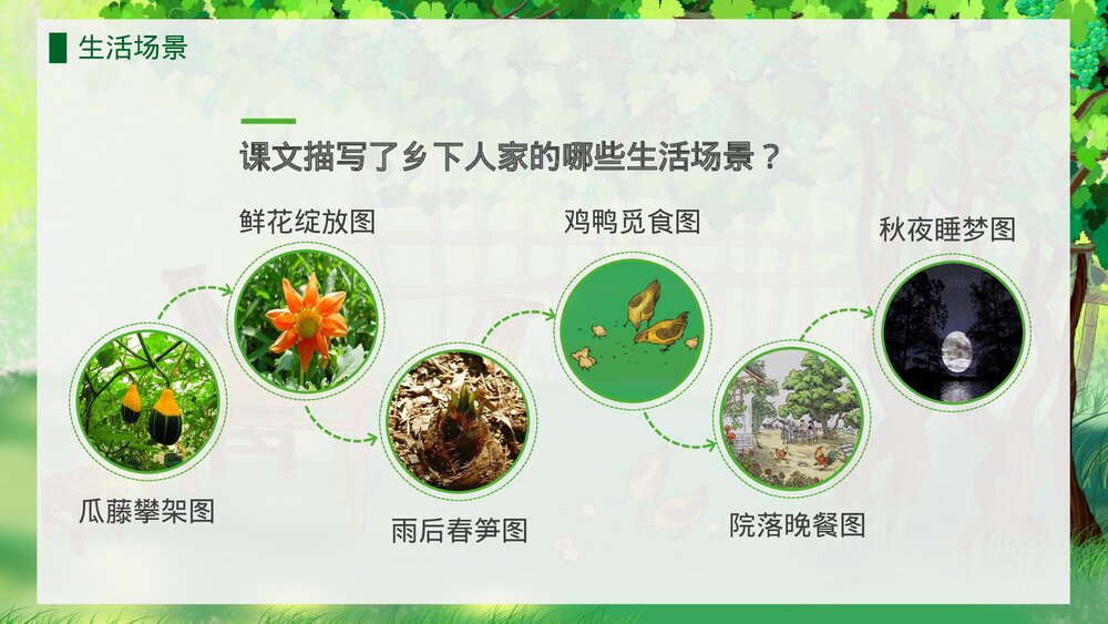 人教版·语文四年级下册《乡下人家》教育教学PPT课件9