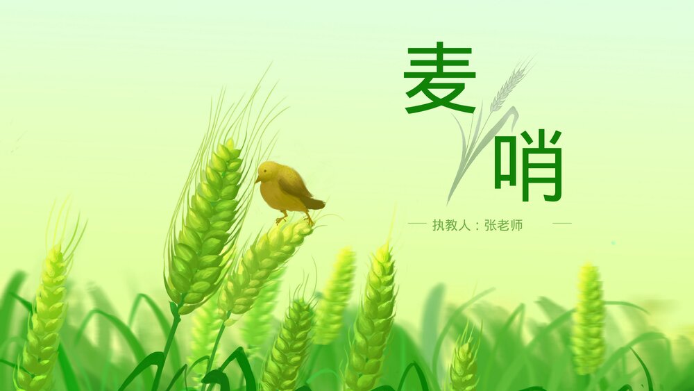 人教版·语文四年级下册《麦哨》教育教学PPT课件1