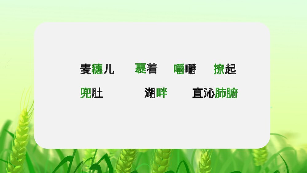 人教版·语文四年级下册《麦哨》教育教学PPT课件5