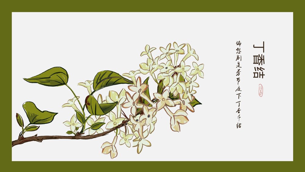 部编版·语文六年级《丁香结》教育教学PPT课2