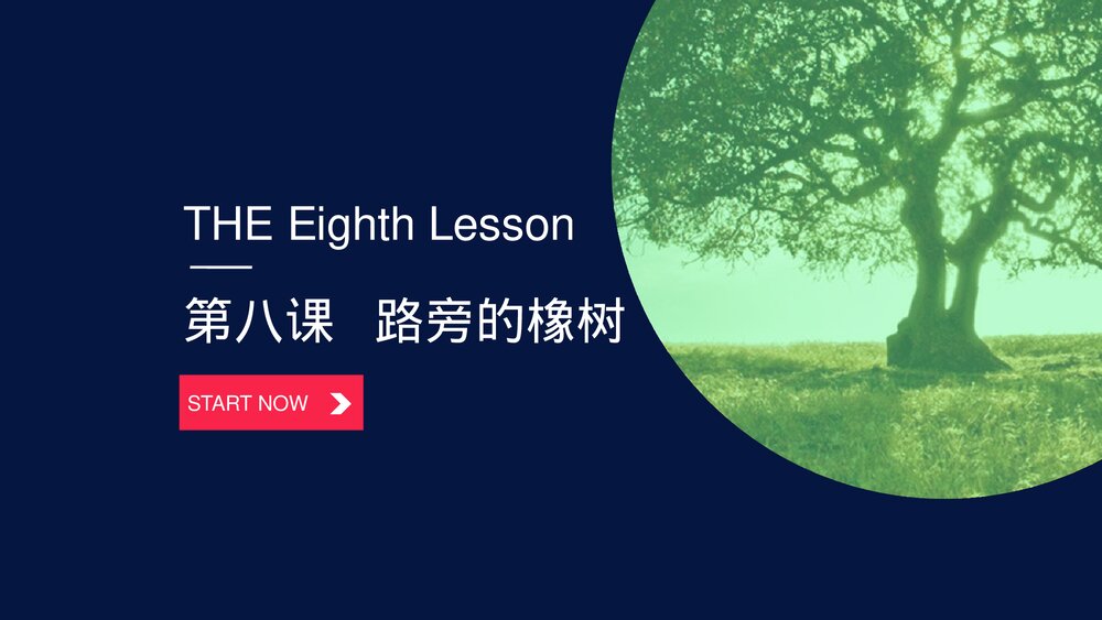 人教版三年级《路旁的橡树》教育教学PPT课件1