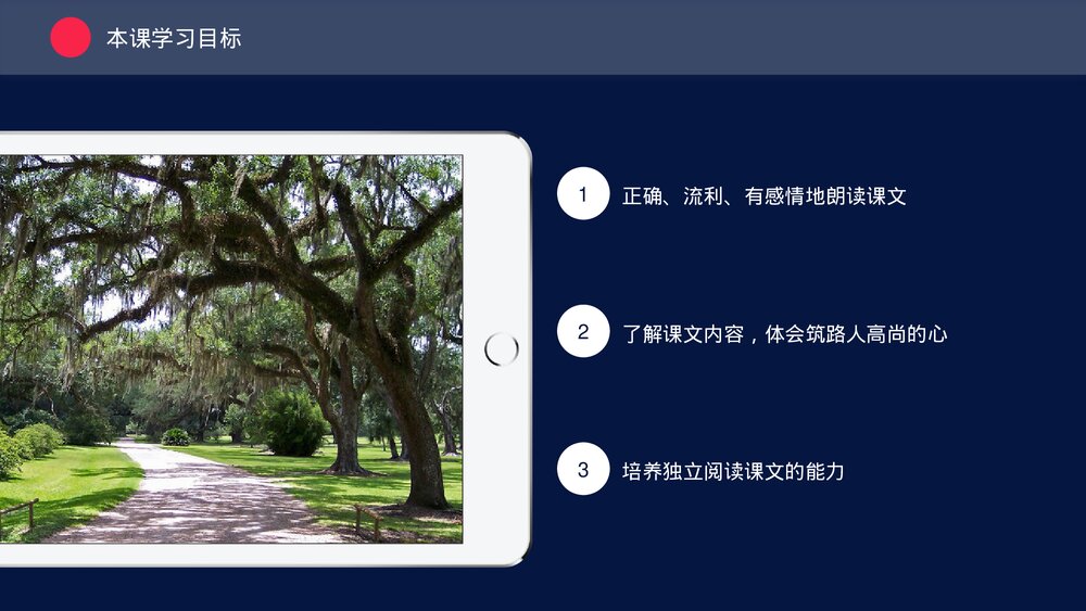 人教版三年级《路旁的橡树》教育教学PPT课件2